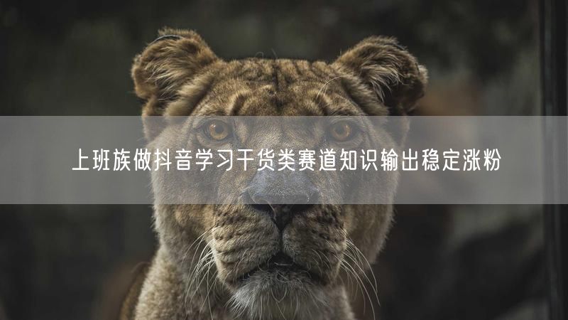 上班族做抖音学习干货类赛道知识输出稳定涨粉