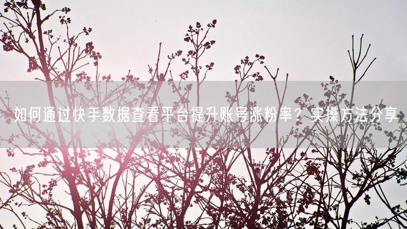 如何通过快手数据查看平台提升账号涨粉率？实操方法分享