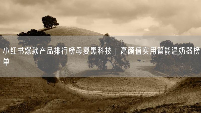 小红书爆款产品排行榜母婴黑科技｜高颜值实用智能温奶器榜单