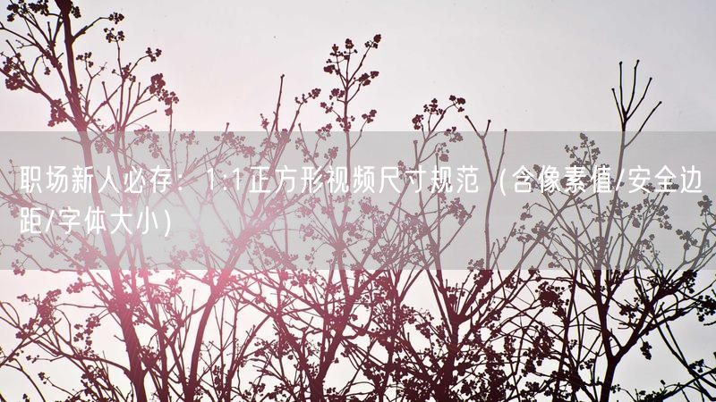 职场新人必存：1:1正方形视频尺寸规范（含像素值/安全边距/字体大小）