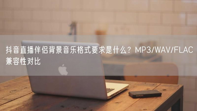 抖音直播伴侣背景音乐格式要求是什么？MP3/WAV/FLAC兼容性对比
