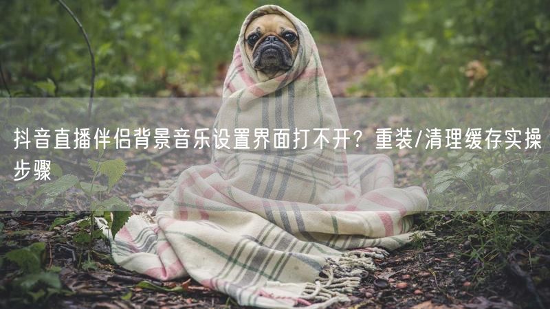 抖音直播伴侣背景音乐设置界面打不开？重装/清理缓存实操步骤