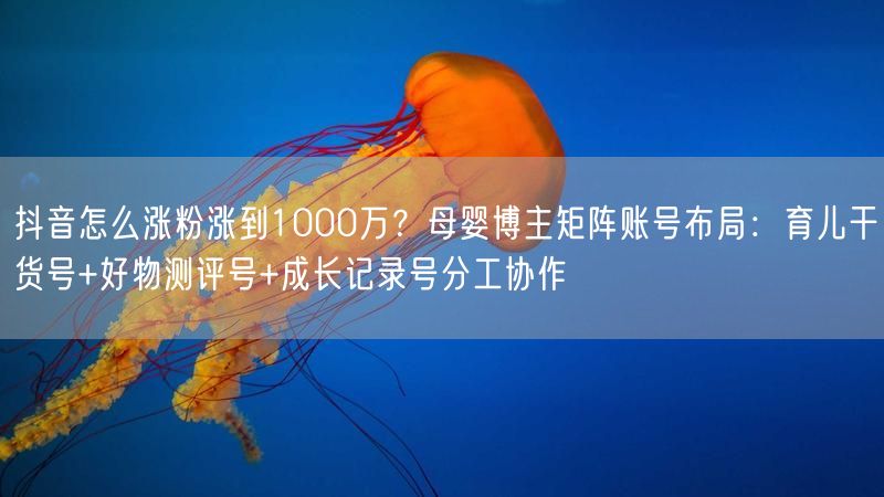 抖音怎么涨粉涨到1000万？母婴博主矩阵账号布局：育儿干货号+好物测评号+成长记录号分工协作