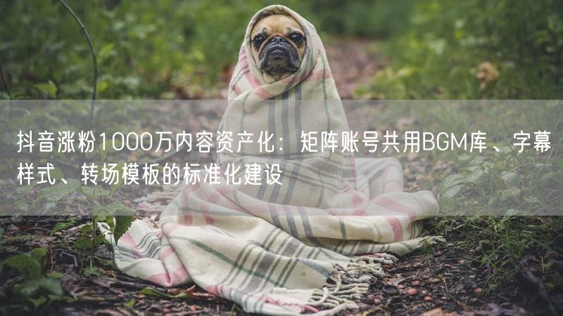 抖音涨粉1000万内容资产化：矩阵账号共用BGM库、字幕样式、转场模板的标准化建设