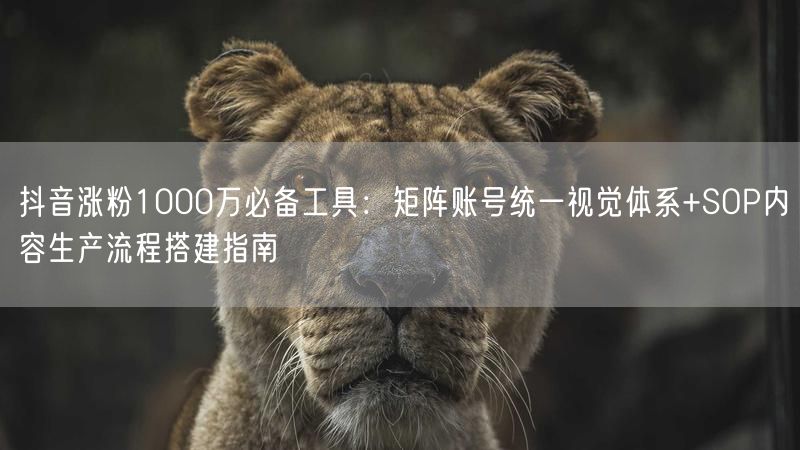 抖音涨粉1000万必备工具：矩阵账号统一视觉体系+SOP内容生产流程搭建指南