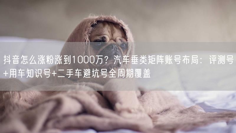 抖音怎么涨粉涨到1000万？汽车垂类矩阵账号布局：评测号+用车知识号+二手车避坑号全周期覆盖