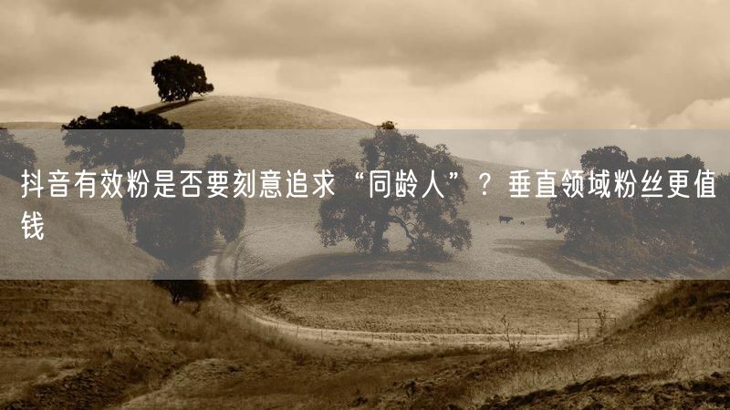 抖音有效粉是否要刻意追求“同龄人”？垂直领域粉丝更值钱