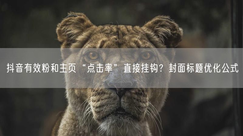 抖音有效粉和主页“点击率”直接挂钩？封面标题优化公式