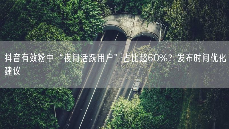 抖音有效粉中“夜间活跃用户”占比超60%？发布时间优化建议