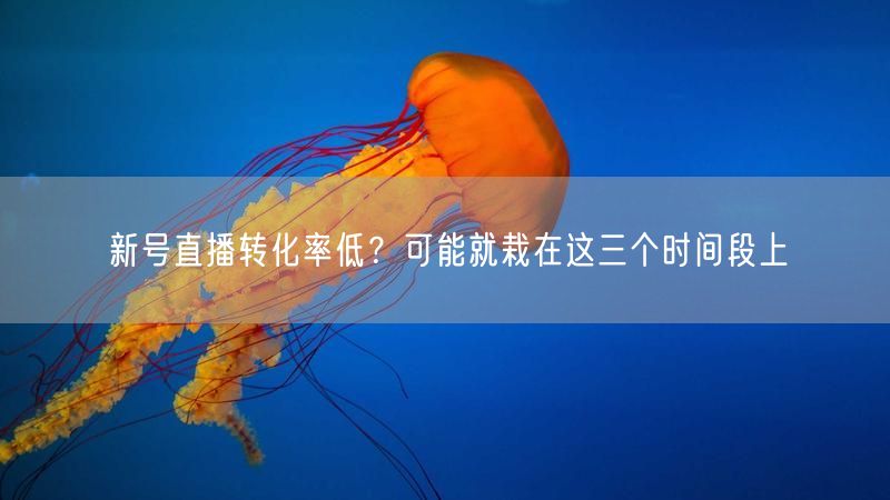 新号直播转化率低？可能就栽在这三个时间段上