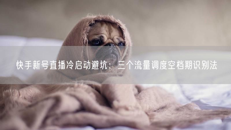 快手新号直播冷启动避坑：三个流量调度空档期识别法