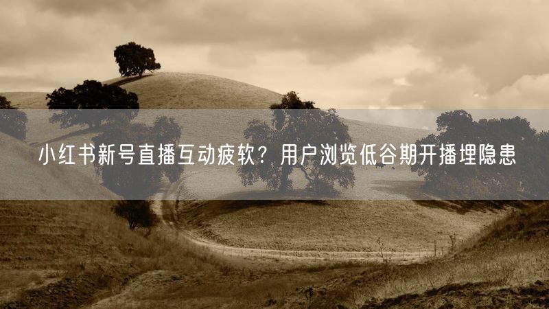 小红书新号直播互动疲软？用户浏览低谷期开播埋隐患