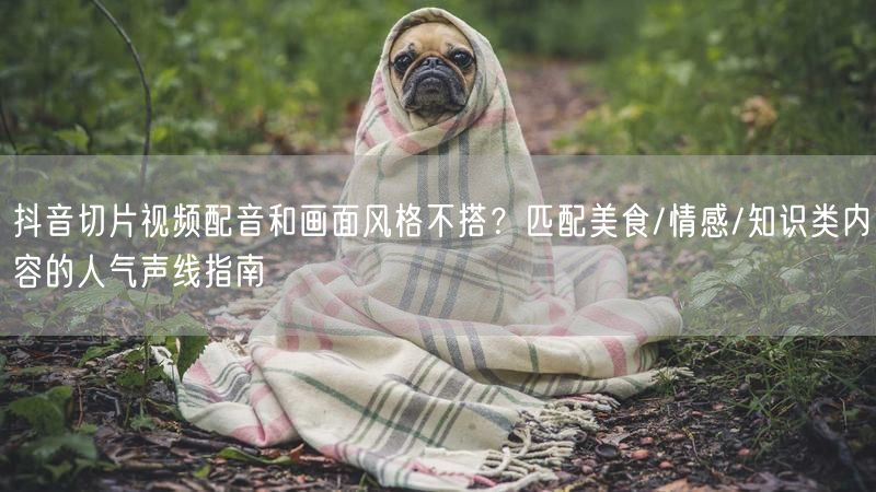 抖音切片视频配音和画面风格不搭？匹配美食/情感/知识类内容的人气声线指南