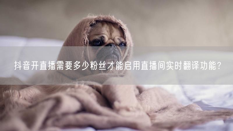 抖音开直播需要多少粉丝才能启用直播间实时翻译功能？