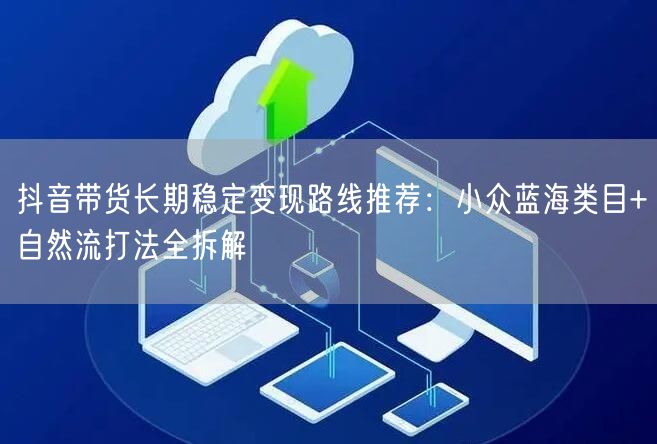 抖音带货长期稳定变现路线推荐：小众蓝海类目+自然流打法全拆解