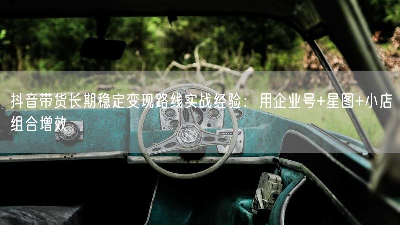 抖音带货长期稳定变现路线实战经验：用企业号+星图+小店组合增效