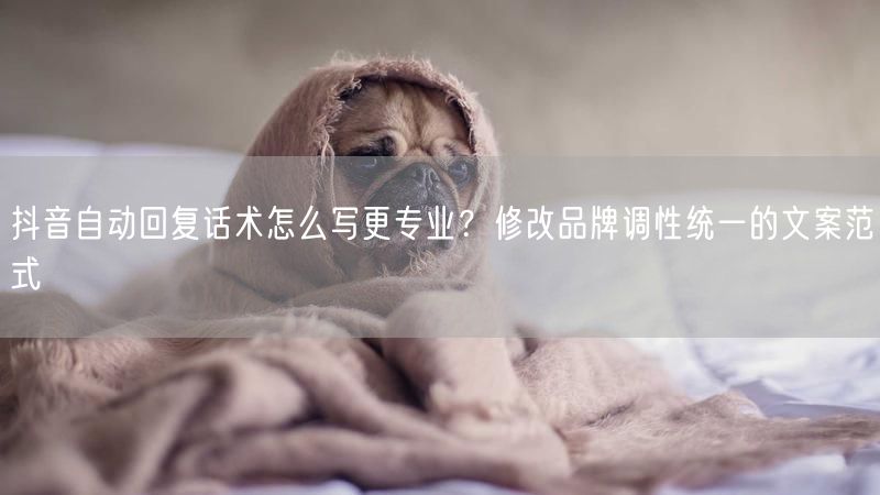 抖音自动回复话术怎么写更专业？修改品牌调性统一的文案范式