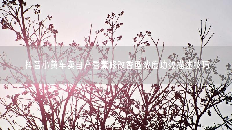 抖音小黄车卖自产香薰修改香型浓度功效描述技巧
