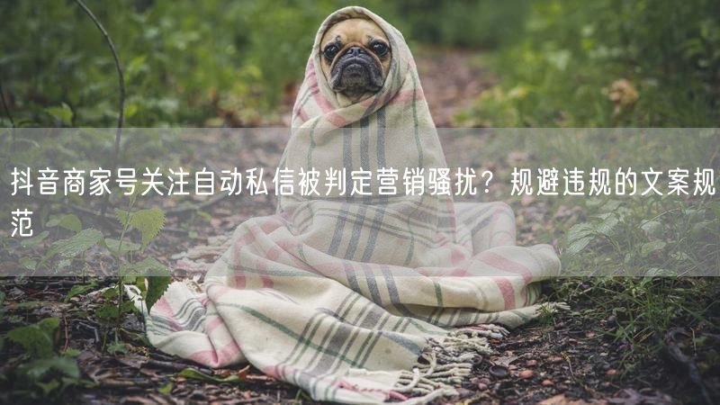 抖音商家号关注自动私信被判定营销骚扰？规避违规的文案规范