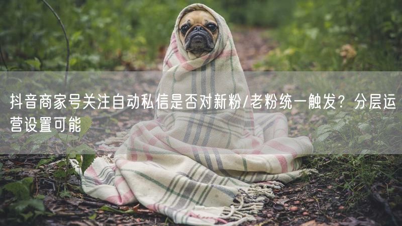 抖音商家号关注自动私信是否对新粉/老粉统一触发？分层运营设置可能