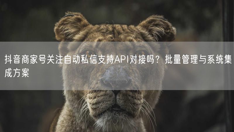抖音商家号关注自动私信支持API对接吗？批量管理与系统集成方案