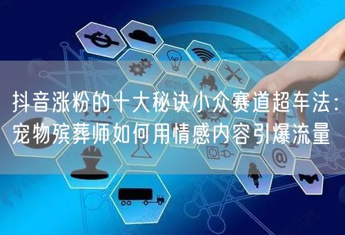 抖音涨粉的十大秘诀小众赛道超车法：宠物殡葬师如何用情感内容引爆流量