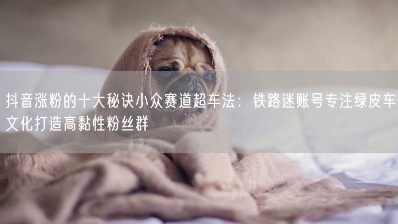 抖音涨粉的十大秘诀小众赛道超车法：铁路迷账号专注绿皮车文化打造高黏性粉丝群