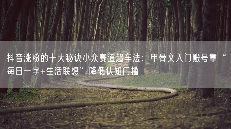 抖音涨粉的十大秘诀小众赛道超车法：甲骨文入门账号靠“每日一字+生活联想”降低认知门槛