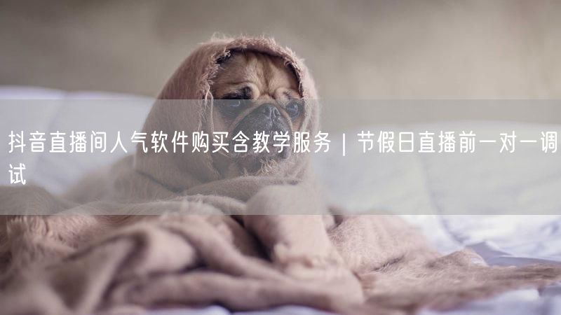 抖音直播间人气软件购买含教学服务｜节假日直播前一对一调试